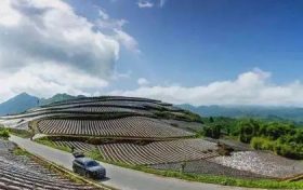 在南鄭，這條“紅色交通線”串起川陜鄉(xiāng)親美好新生活縮略圖