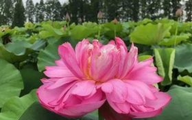 以夏天的名義，來漢中這里遇見不容錯過的風(fēng)景！縮略圖