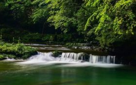 漢中避暑界的“頂流”，晚上還要蓋棉被！縮略圖