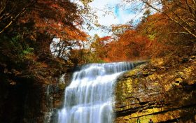 陜西漢中：層林盡染黎坪景 峽谷紅遍秋意濃縮略圖