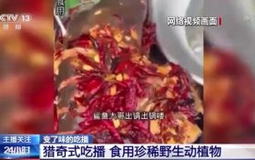流量至上催生獵奇式吃播 多管齊下如何剎住“吃奇”之風(fēng)？縮略圖