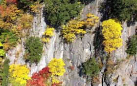 “霜降”來(lái) 陜西大部也迎來(lái)降水過(guò)程縮略圖