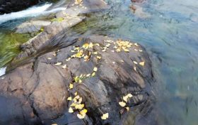 未來(lái)三天陜西降水、吹風(fēng)持續(xù) 清晨易出現(xiàn)大霧縮略圖