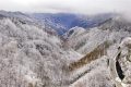 你愿意和我來佛坪邂逅冬日里第一場雪嗎縮略圖