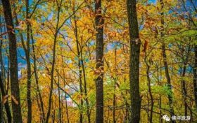 秦嶺山區(qū)最低氣溫-1℃以下，陜西天氣最新預(yù)報(bào)縮略圖