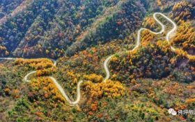 當晚秋邂逅初冬，來佛坪給你一個相逢的理由！縮略圖