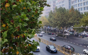 降溫、雨雪天氣又要來了！縮略圖
