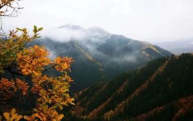 正當(dāng)時(shí)，邂逅青木川的初冬縮略圖