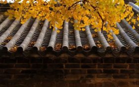 藏在漢中這座古鎮(zhèn)里的中國色，美得不可方物！縮略圖