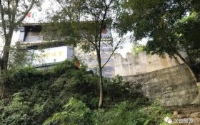 “陽”了后你還在“咳咳咳”嗎？縮略圖