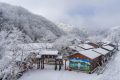 降溫要來了！1月11日—15日陜西多雨雪天氣 陜北降溫8-10 ℃縮略圖