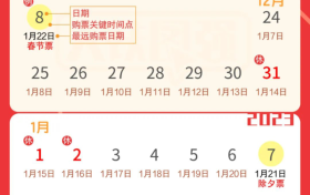 還有不到20天就過年了！返鄉(xiāng)出游這些要了解縮略圖
