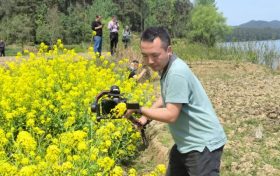 煙花三月，驚艷紅寺湖縮略圖