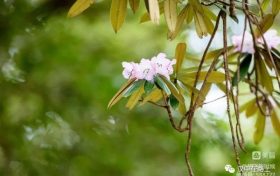 春游前，這份急救指南請(qǐng)先收好！縮略圖