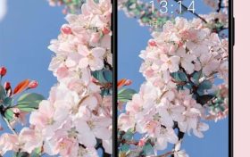 絕美春日壁紙已上新！將漢臺(tái)美景裝進(jìn)手機(jī)→縮略圖