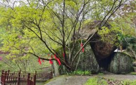 踏青賞春正當(dāng)時，相約漢江源享受好春光縮略圖