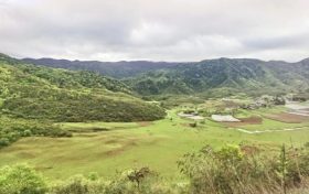 夏天來(lái)了，起居、飲食、運(yùn)動(dòng)有講究縮略圖