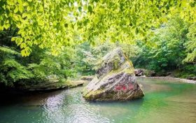 @高考生及家長 志愿填報別太迷信“指導(dǎo)”縮略圖