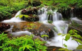 清涼避暑，到漢江源來吧~縮略圖