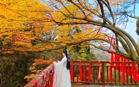 登山賞秋，漢江源馬上迎來(lái)第一波浪漫秋色!縮略圖
