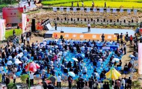 慶豐收，促和美 | 略陽(yáng)縣第六屆中國(guó)農(nóng)民豐收節(jié)開幕縮略圖