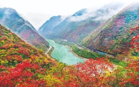 不負(fù)美景不負(fù)秋！不管你去不去，這份秋日攻“略”都值得收藏！縮略圖