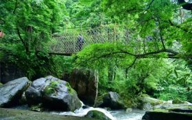 每逢佳節(jié)胖三斤?大餐過(guò)后該怎么做?縮略圖