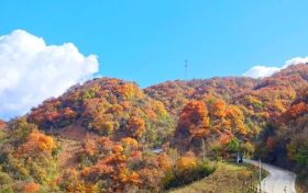 又是一年彩林季，漢江源彩林搶先看~縮略圖