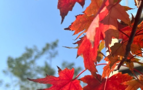 近期氣溫為啥偏高？專家解釋來了縮略圖