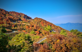已經(jīng)紅了，快來漢江源看彩林！縮略圖