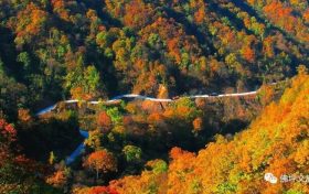 秋日去佛坪，感受古詩詞中的山河秋色縮略圖