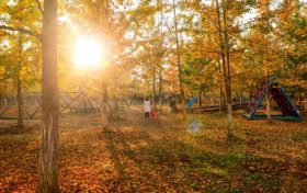 有一種美叫做西鄉(xiāng)的秋天！縮略圖