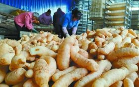 省級示范基地認(rèn)定！漢中上榜名單→縮略圖