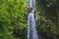 大霧黃色預(yù)警！漢中這些地方能見度低→縮略圖