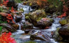 深秋美景正當(dāng)時，最美的佛坪秋意送給你~縮略圖