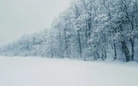 陜西最新預(yù)警！氣溫創(chuàng)新低！這些區(qū)域還有雨雪→縮略圖