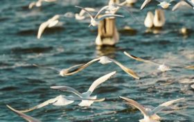 邂逅初冬，漢臺(tái)這些風(fēng)景幀幀如畫！縮略圖