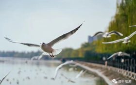 奔赴漢臺(tái)，來(lái)場(chǎng)暖冬之旅！縮略圖