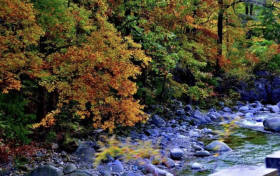 秋日勝春朝！佛坪的晚秋美景太絕了!縮略圖