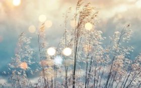 氣溫短暫回升！下周冷空氣再度來(lái)襲縮略圖