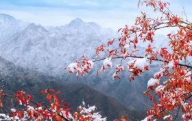 天冷不穿秋褲會(huì)凍出關(guān)節(jié)炎？醫(yī)生：關(guān)節(jié)炎不是“凍”出來(lái)的但秋褲該穿還得穿縮略圖