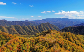 “寒衣節(jié)”文明祭祀倡議書縮略圖