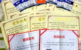 優(yōu)秀！城固縣兩名學(xué)生喜獲世界機(jī)器人大賽國賽二等獎(jiǎng) →縮略圖