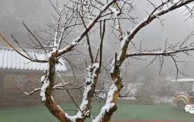 12月全國(guó)將有四次冷空氣過(guò)程縮略圖