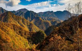 冬日快來佛坪，體驗(yàn)零霧霾小城大口呼吸的暢快！縮略圖