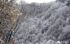 雨雪天氣今晚就到！安全防御指南請收好→縮略圖