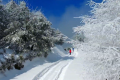 一場浪漫冬雪，讓鎮(zhèn)巴美出圈！縮略圖