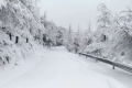 雨夾雪！小雪！小到中雪！漢中氣象發(fā)布黃色預警信號→縮略圖