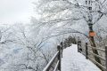 龍頭山今日又下雪啦，每一幀都是“限定浪漫”！縮略圖