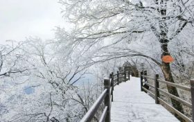龍頭山今日又下雪啦，每一幀都是“限定浪漫”！縮略圖